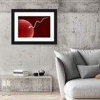 Sperm Approaching Ovum Wall Art
