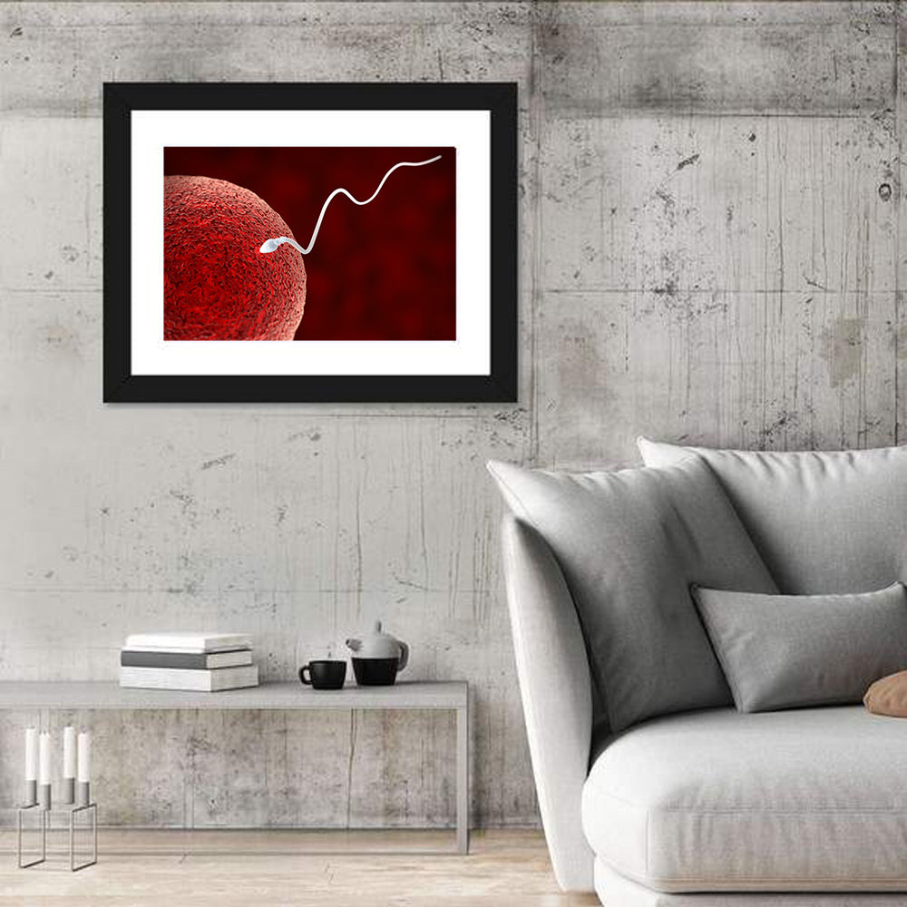 Sperm Approaching Ovum Wall Art