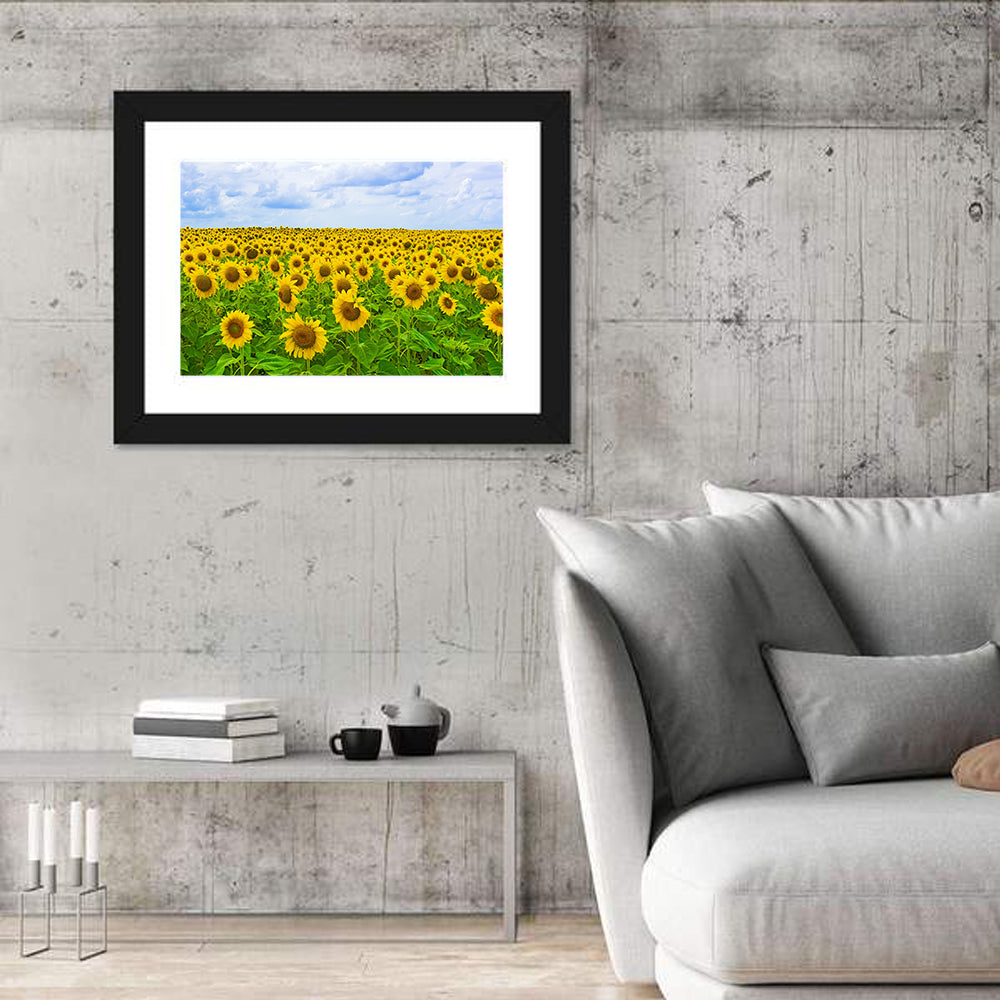 Sunflower Field Under Blue Sky Wall Art