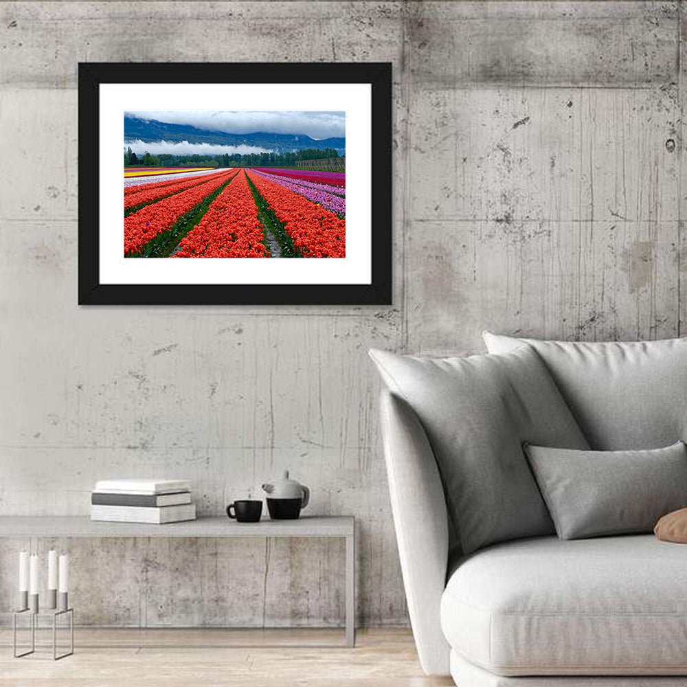 Chilliwack Tulip Festival Wall Art in a room, landscape