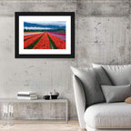 Chilliwack Tulip Festival Wall Art
