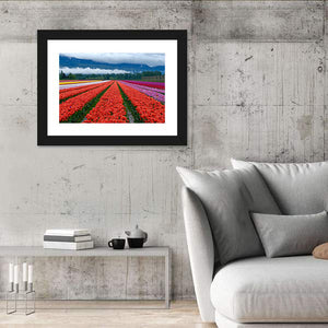 Tulip Festival In Chilliwack Wall Art