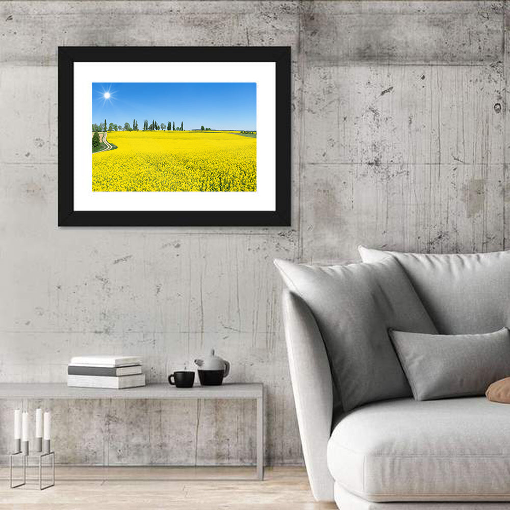 Winding Path Through Rapeseed Field Wall Art in a room, landscape
