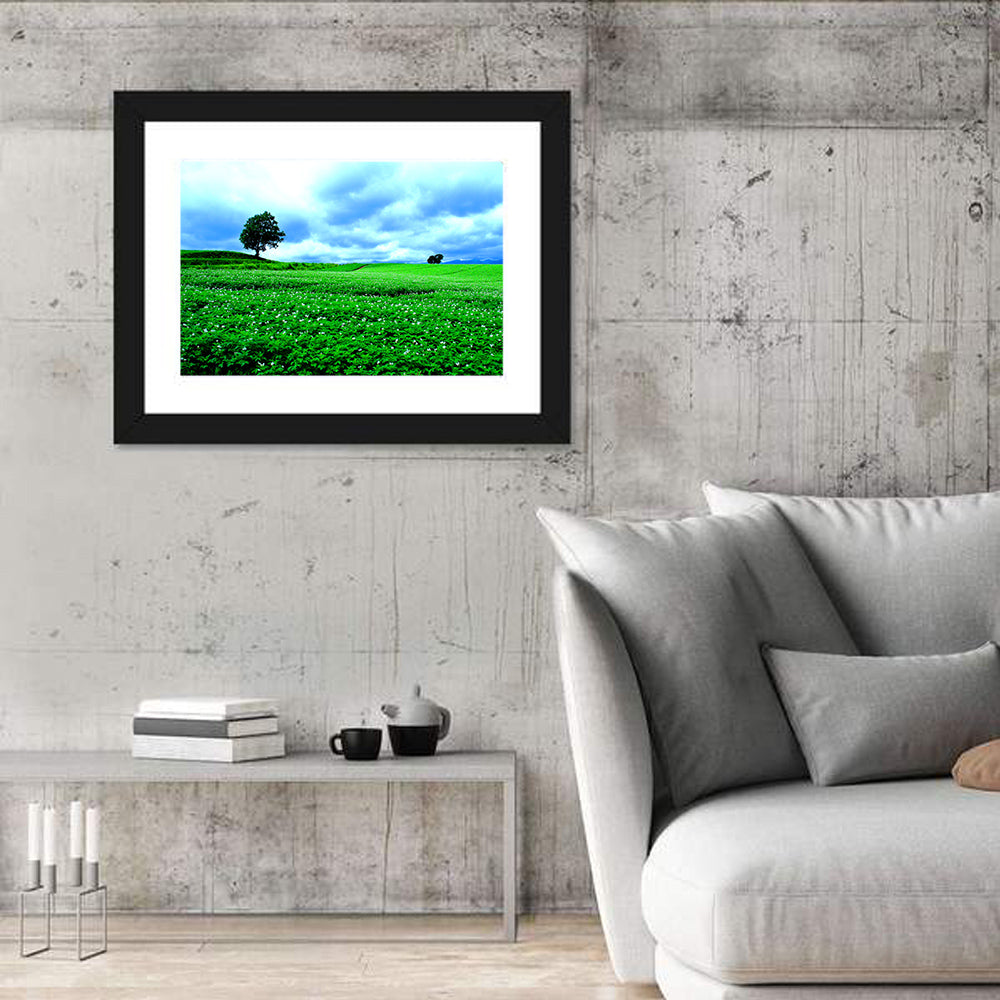 Biei Hill with Lone Tree, Hokkaido Wall Art in a room, landscape