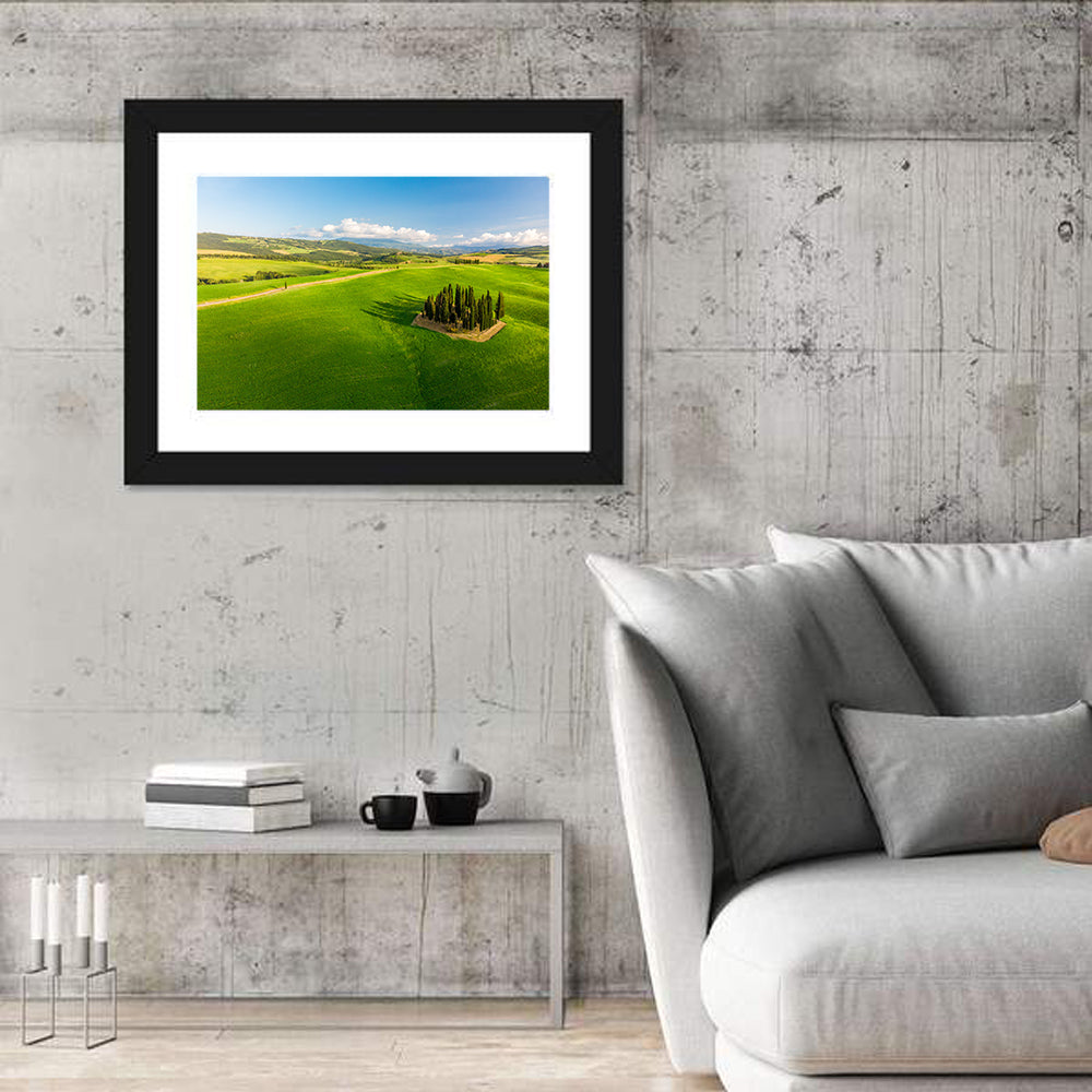 Italian Cypresses on Rolling Hills Wall Art