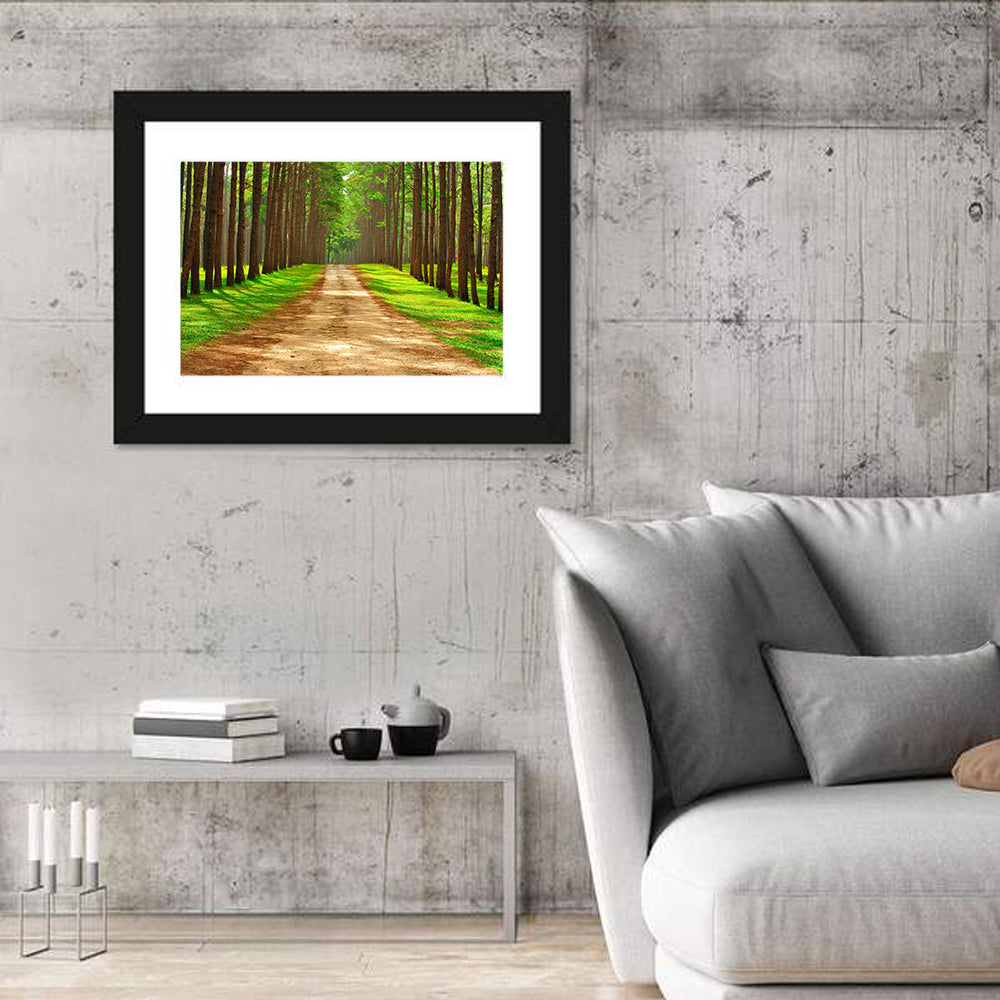 Thailand Pine Forest Path Wall Art in a room, landscape