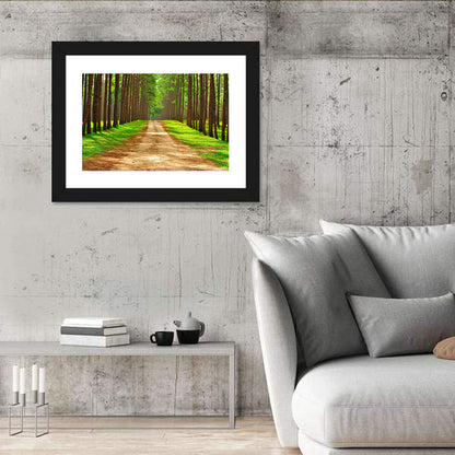 Thailand Pine Forest Path Wall Art
