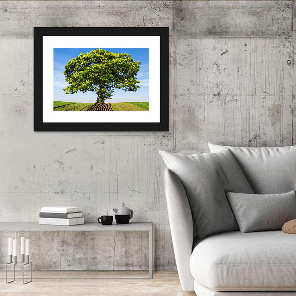 Solitary Tree on Plowed Hill Wall Art