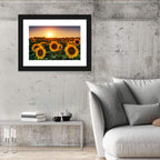 Sunflower Field at Sunset Wall Art