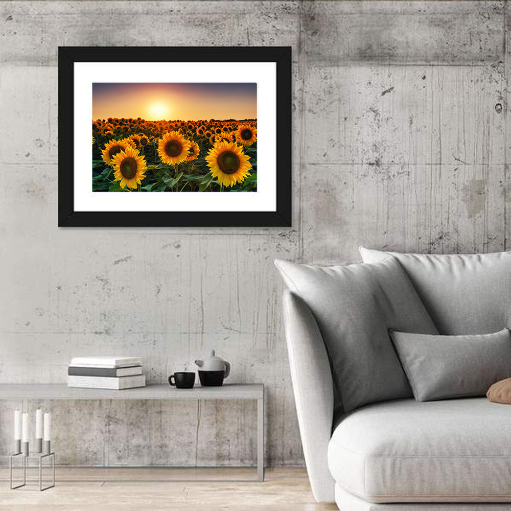 Sunflower Field at Sunset Wall Art