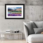 Lupines at Lake Tekapo Wall Art