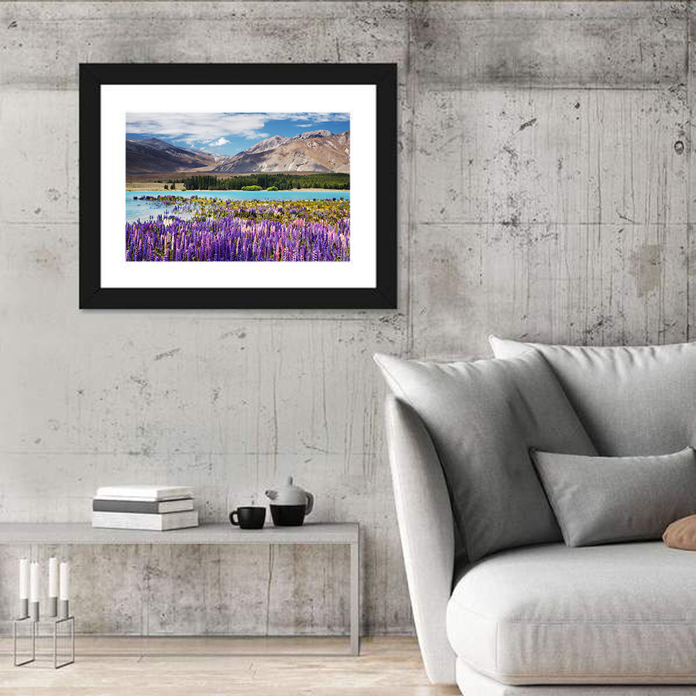 Lupines at Lake Tekapo Wall Art