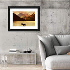Waterton Lakes Moose at Golden Dusk Wall Art