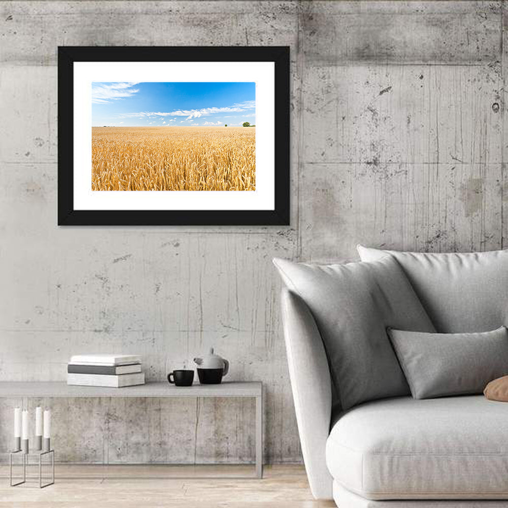 Golden Wheat Field with Blue Sky Wall Art in a room, landscape