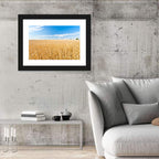 Golden Wheat Field with Blue Sky Wall Art