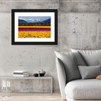 Skagit Valley Spring Daffodils Wall Art