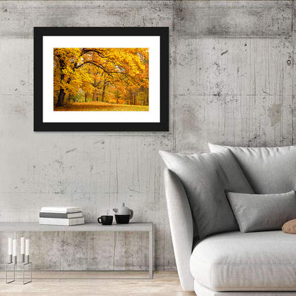 Golden Canopy in Autumn Park Wall Art