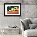 Tennis Balls Along Racket Frame Wall Art
