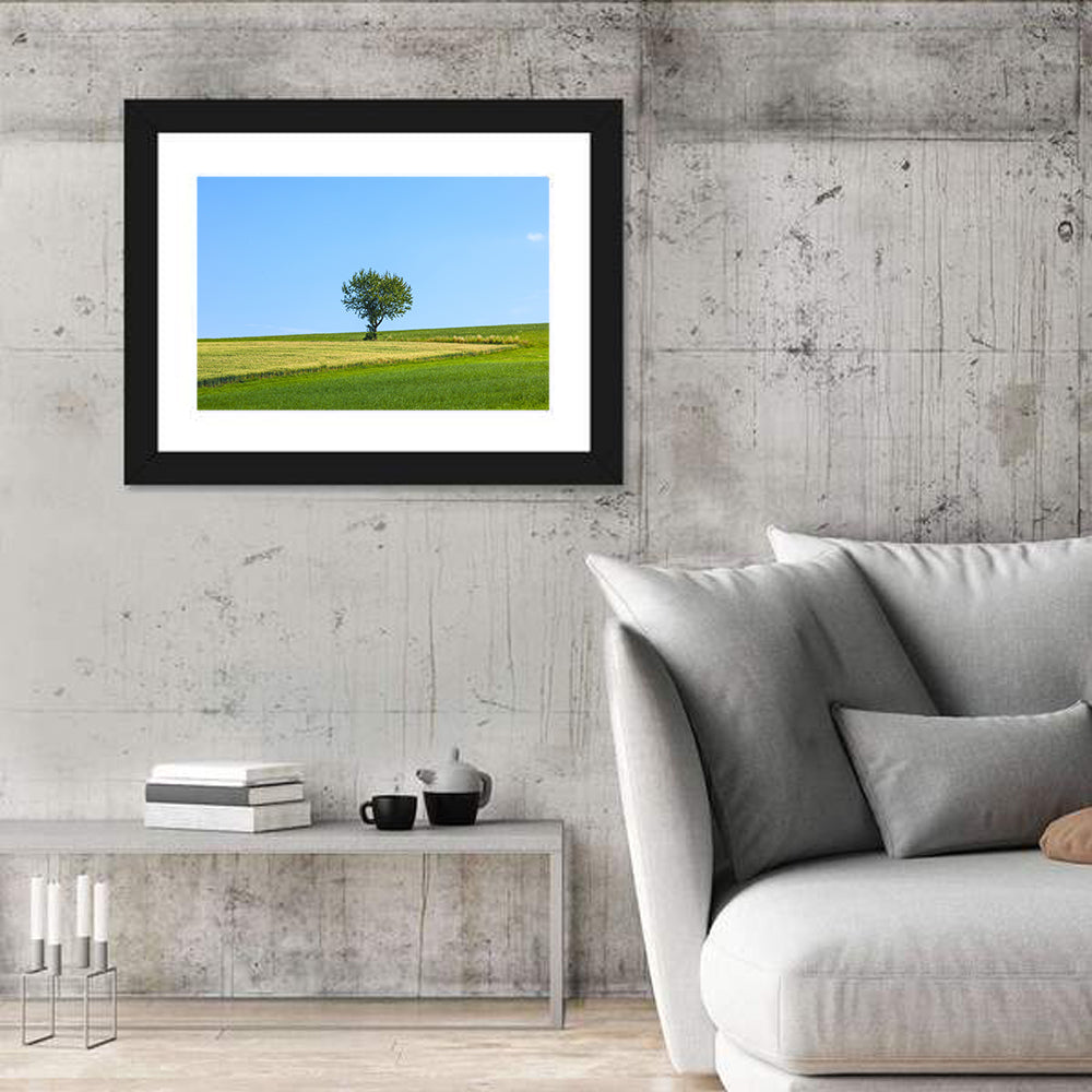 Solitary Tree on Rolling Meadow Wall Art