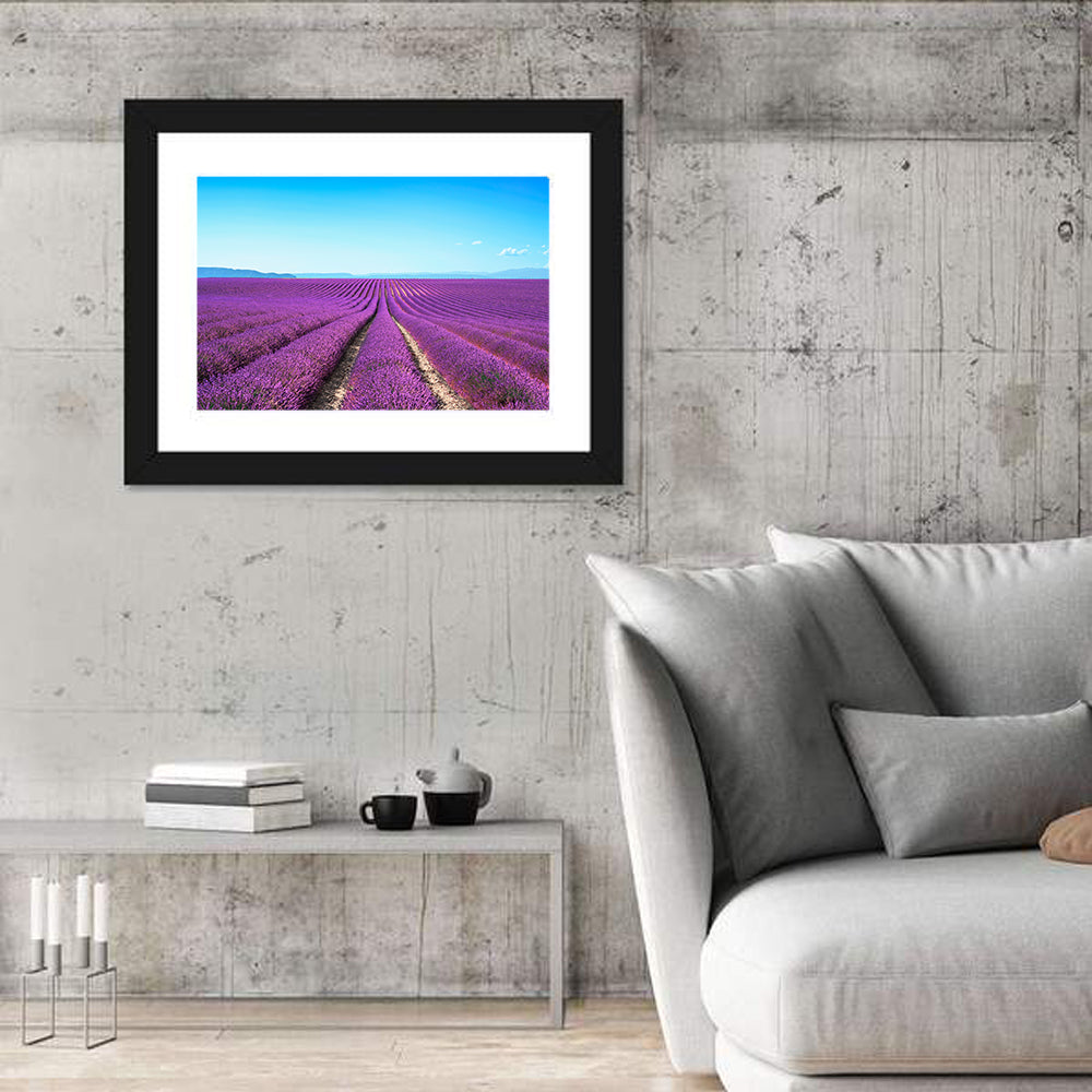 Lavender Flower Fields Wall Art in a room, landscape