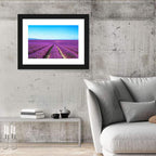 Lavender Flower Fields Wall Art