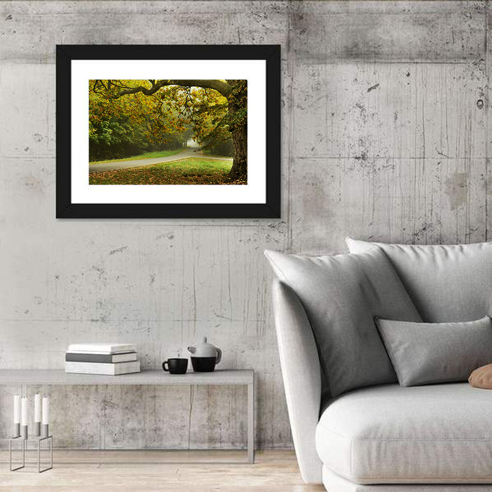 Foggy Autumn Forest Path Wall Art in a room, landscape