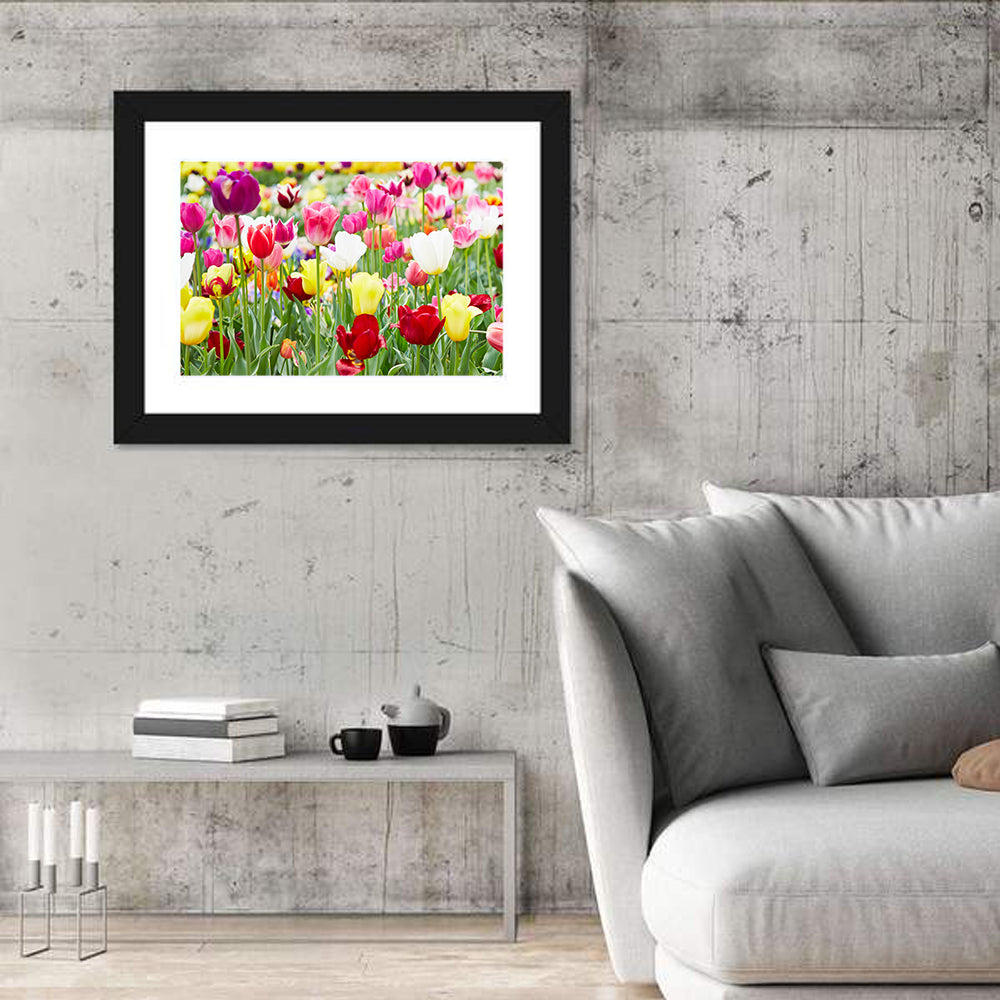 Spring Tulip Close-up Wall Art in a room, landscape