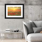 Poppy Field at Sunset Wall Art