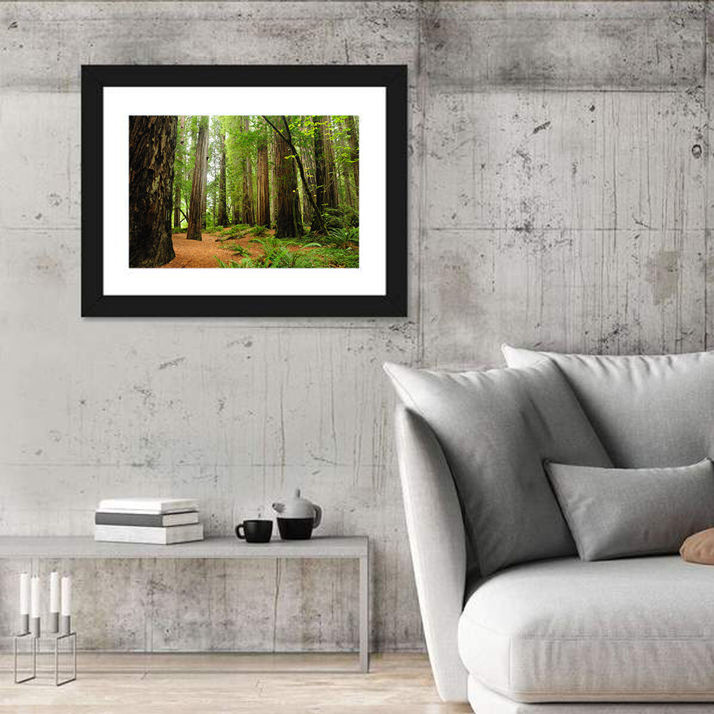Towering Redwood Canopy Wall Art in a room, landscape