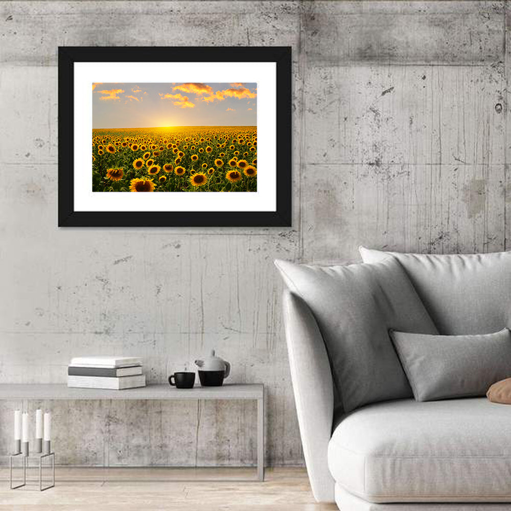 Sunflower Field at Sunset Wall Art in a room, landscape