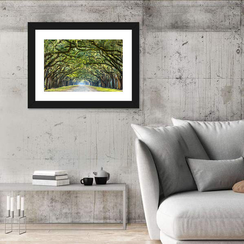 Spanish Moss Oak Alley Wall Art in a room, landscape