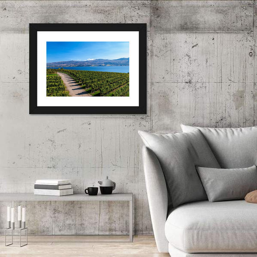 Lake Okanagan Vineyard Path Wall Art in a room, landscape