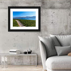 Lake Okanagan Vineyard Path Wall Art