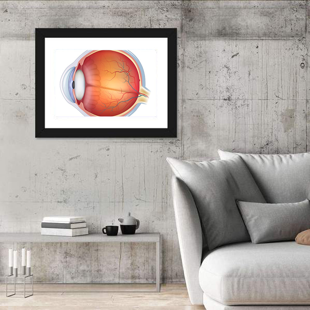 Anatomical Eye Cross-section Wall Art in a room, landscape