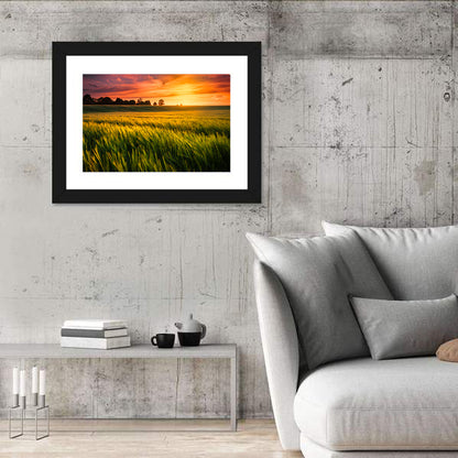 Wheat Field at Golden Hour Wall Art