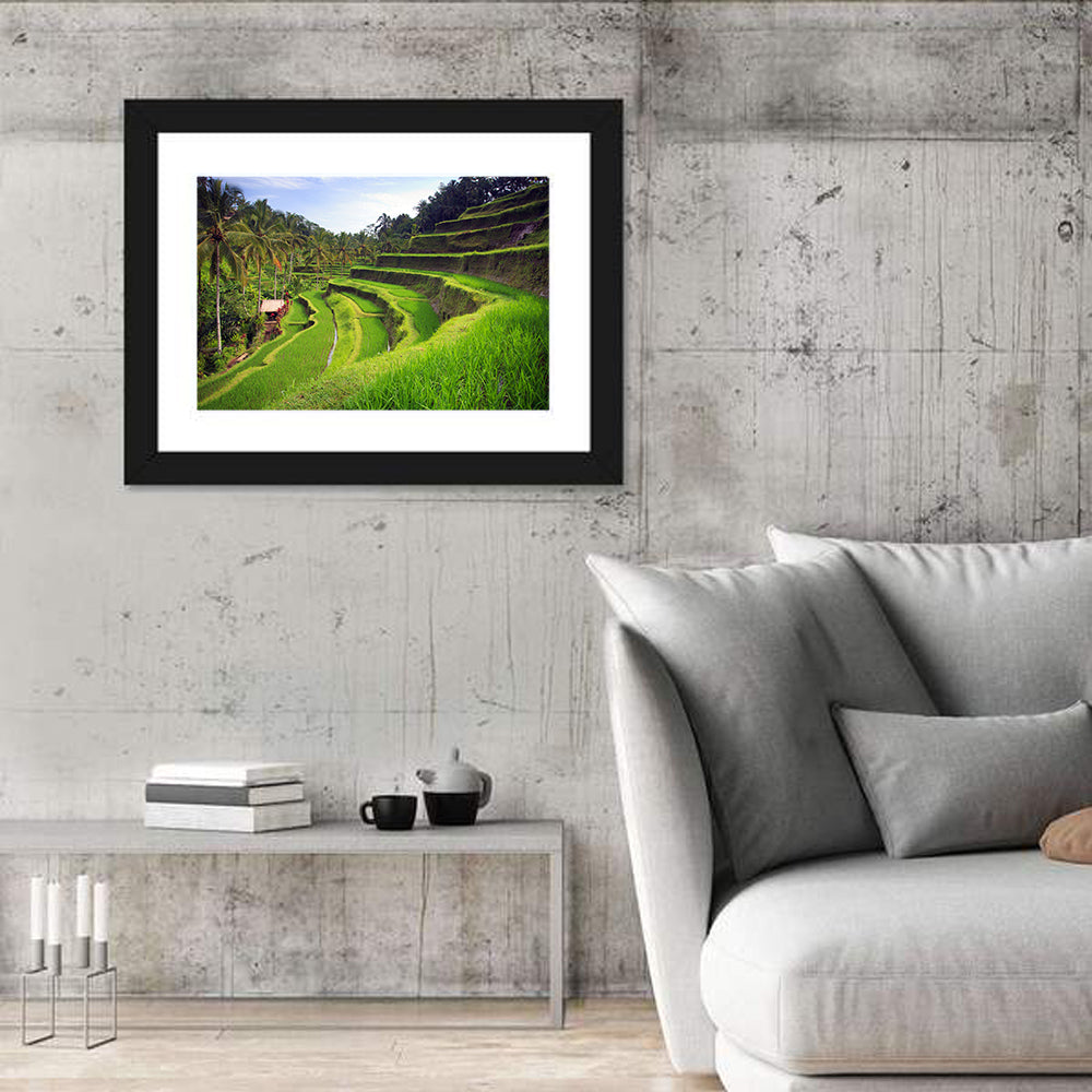 Tegallalang Rice Terraces Wall Art