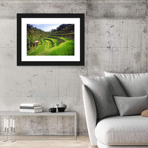 Terrace Rice Fields In Tegallalang Wall Art