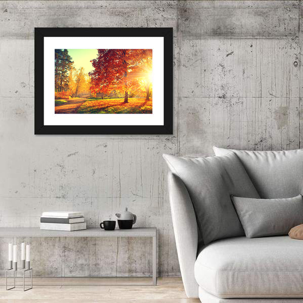 Sunlit Autumn Forest Path Wall Art