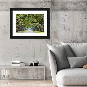 Historic Wormsloe Plantation In Savannah Wall Art