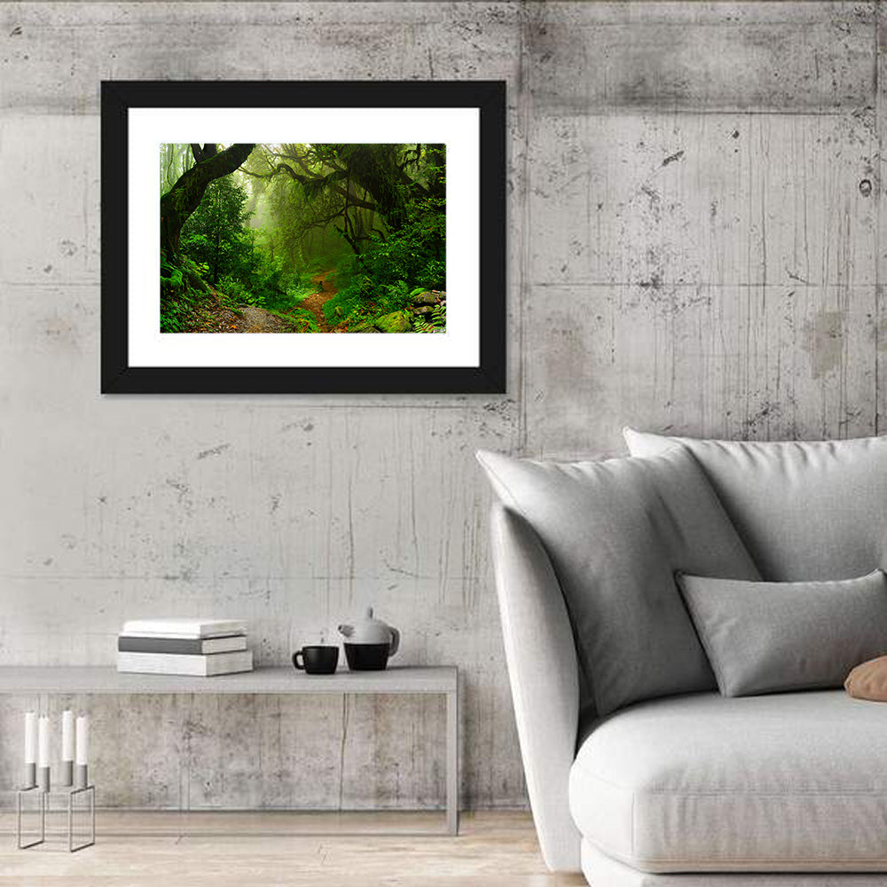 Misty Forest Trail in Nepal Wall Art in a room, landscape