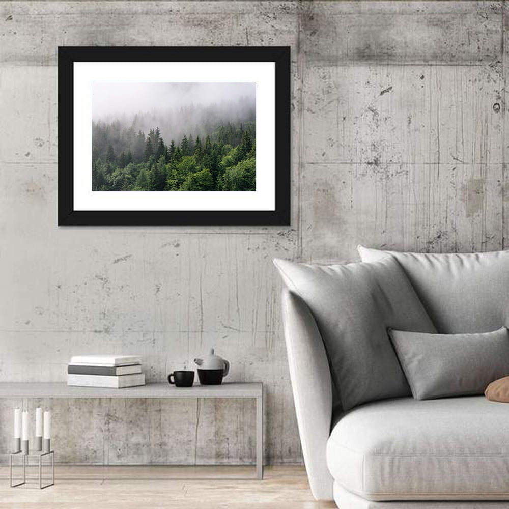 Misty Evergreen Forest Overview Wall Art