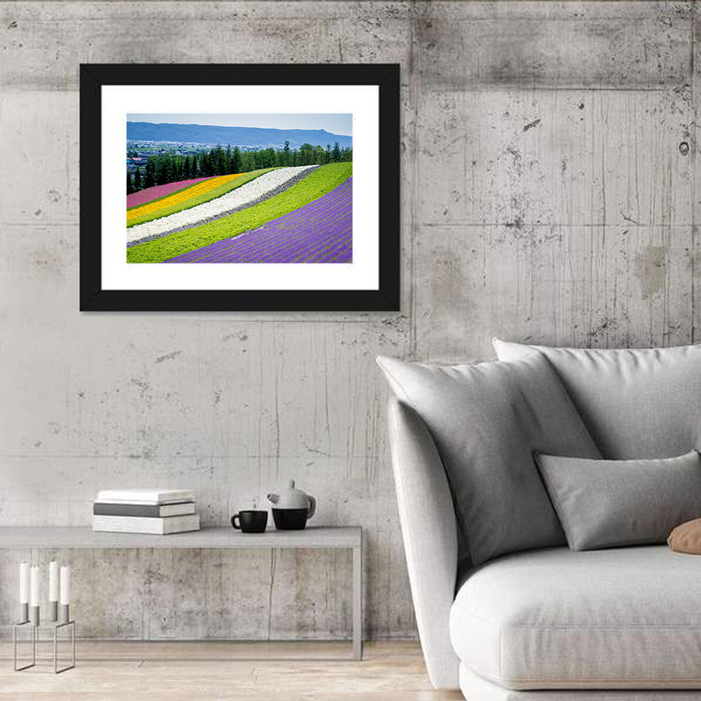 Farm Tomita Lavender Fields Wall Art