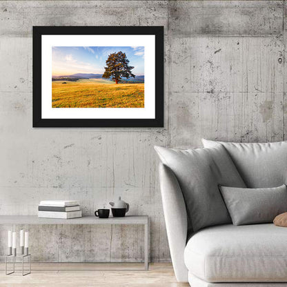 Golden Hour Meadow with Lone Tree Wall Art