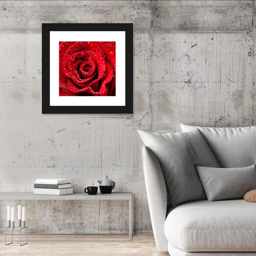 Dew-kissed Red Rose Closeup Wall Art