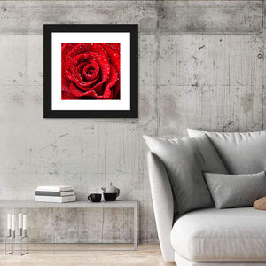 Red Rose CloseUp Wall Art