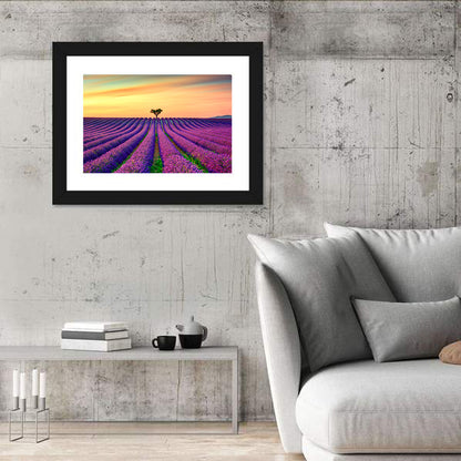 Lavender Field with Solitary Tree Wall Art