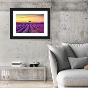 Lavender Flowers Blooming Field Wall Art