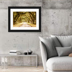 Oak Pathway Under Spanish Moss Wall Art