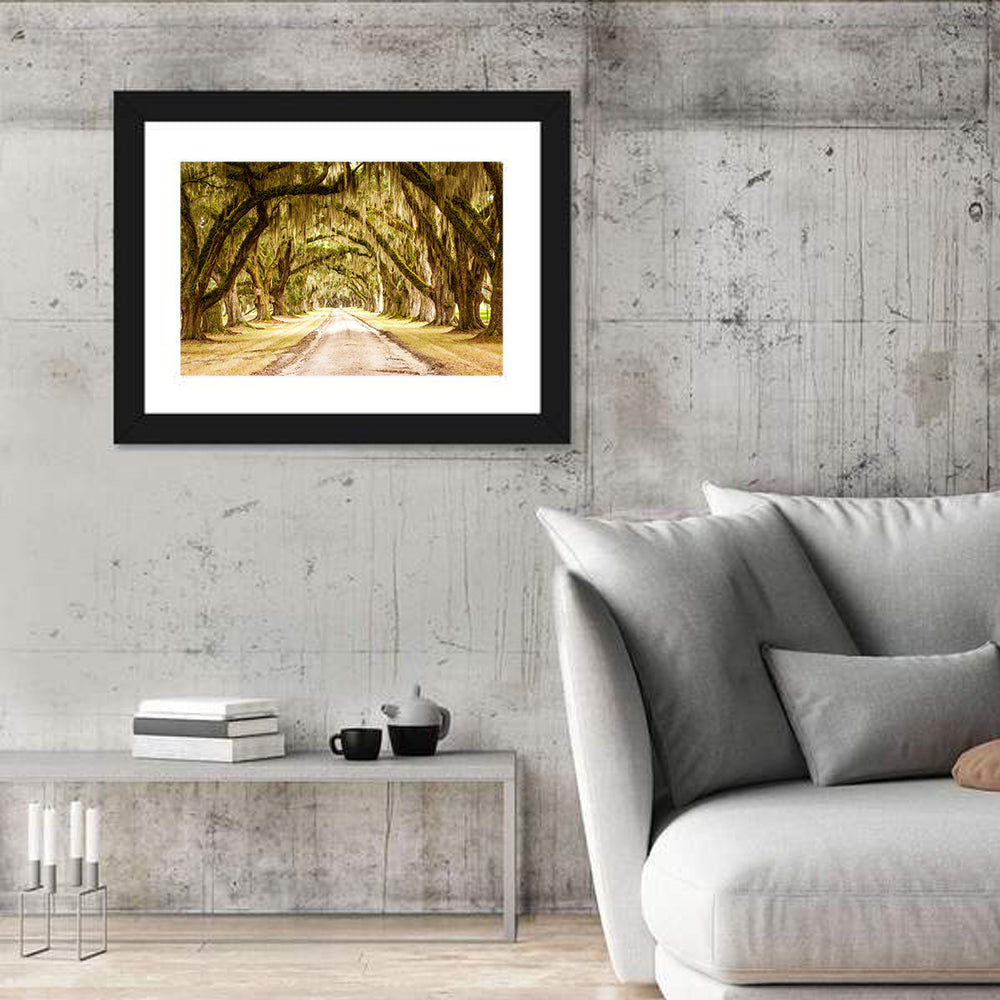 Oak Pathway Under Spanish Moss Wall Art
