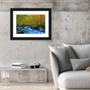 Stream Oirase Gorge In Autumn Wall Art